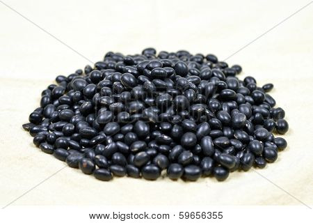 Black Bean