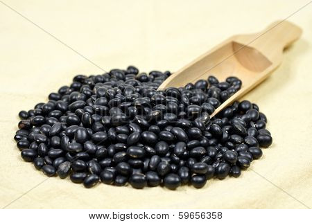 Black Bean