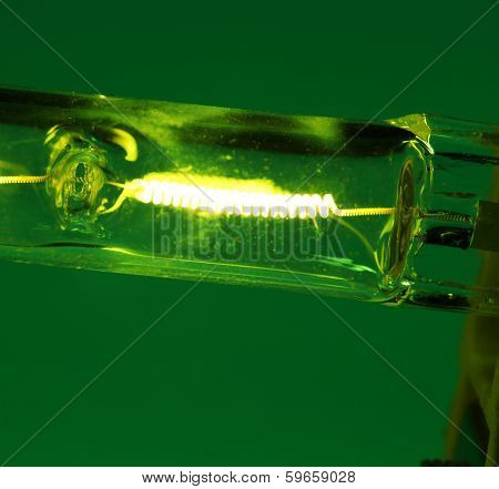 Halogen Bulb
