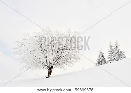 beautiful winter landscape in Sirnea, Romania