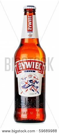 Bottle Of Zywiec Beer Isolated On White