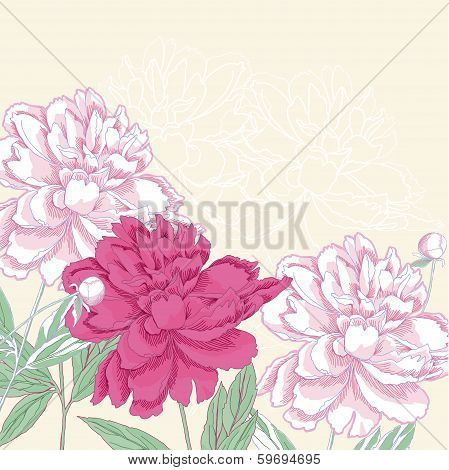 Background With Pink  Peony