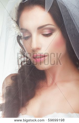 Wedding. Engagement.  Sentimental Likable Bride In Transparent Voile
