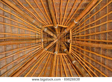 Palm Tree Roof