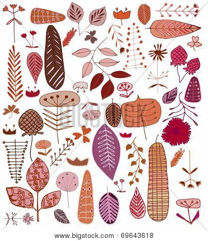 Leaves