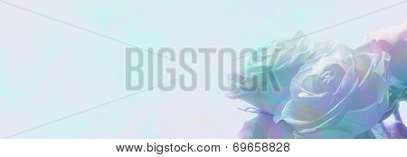Soft misty romantic roses banner