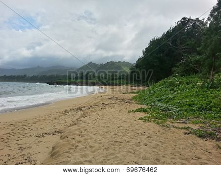 North shore beach