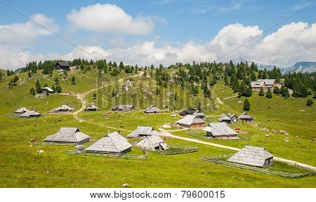Velika planina, Slovenia