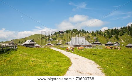 Velika planina, Slovenia
