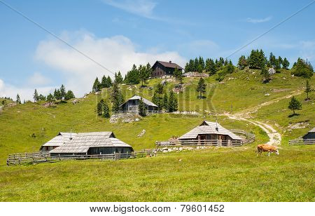 Velika planina, Slovenia