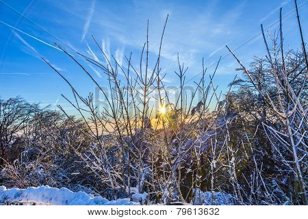 Sunrise Under The Winter Calm Mountain Landscape With Beautiful Fir Trees On Slope