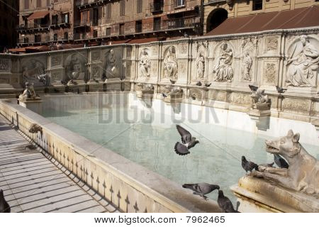 Fonte Gaia i Siena