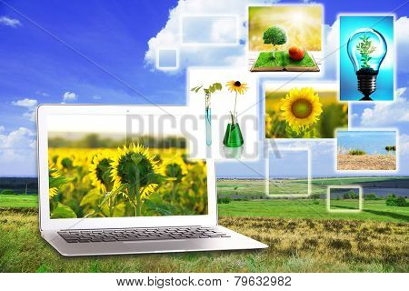 Laptop and eco theme images on nature background