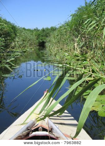 Dnjepr River Delta. reibungslos. 2008.