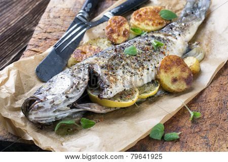 fish grilled 