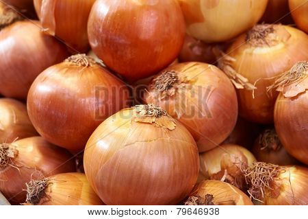 Onions big Golden on the counter