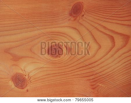 Larch Wood Background