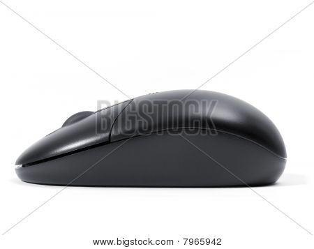 Computer Mouse
