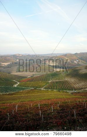 View Of  Barbaresco