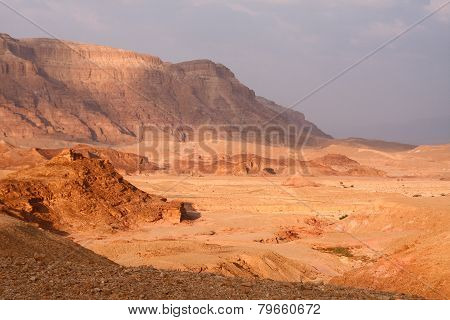 the desert