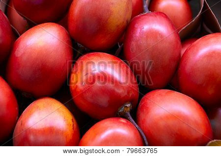 New Zealand Evergreen Tree Fruit Vegetable, Tamarillo
