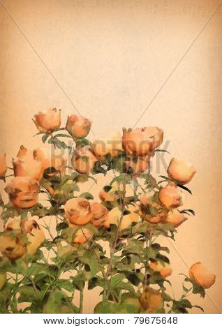 Vector Flower Watercolor Roses Bush