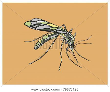 Mosquito
