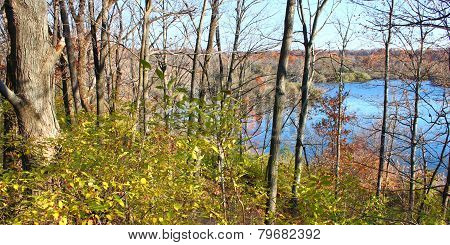 Kickapoo State Park Illinois