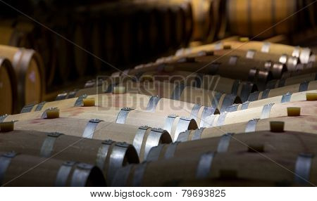 Wine Barrels Cellar Bulgaria