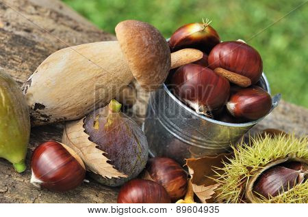 Autumnal Fruits And Porcini