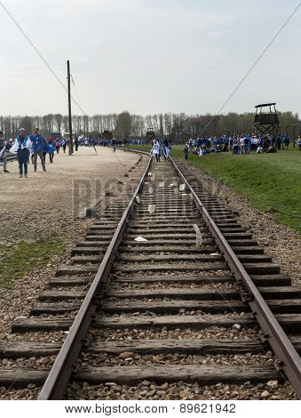 International Holocaust Remembrance Day