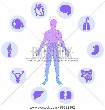 Medical background. Human anatomy.
