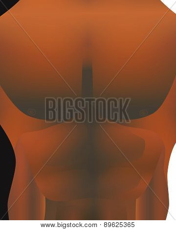 Sportsman 's Body On Black And White Background.