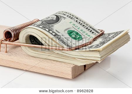 Dolarowych