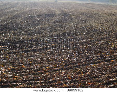 Sown Fields , Southern Bohemia