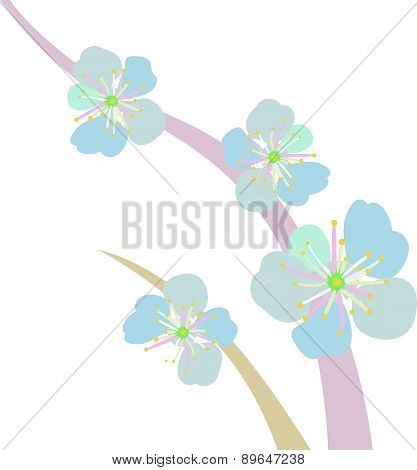 Spring flowering garden.