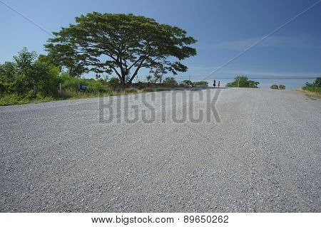 Farm Field Walkway Tree Plant Soil Argriculture Farmer Job Concept