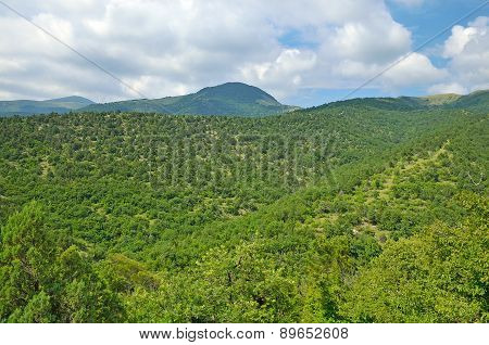 Summer Landscape Of Caucasus Mountains