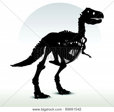 Dinosaurs Trex Skeleton