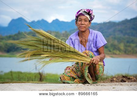 Sangkhlaburi, Kanchanaburi, Thailand - January  12, 2015:  An unidentified Mon ethnic woman separates seeds from rice plant on in harvesting season in Thailand