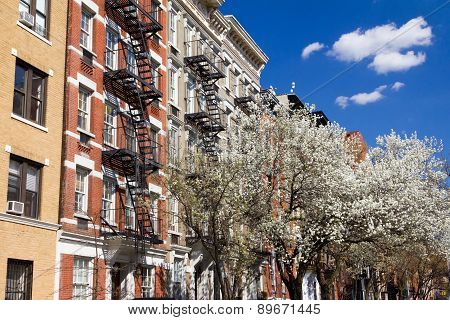 New York City Street In Spring