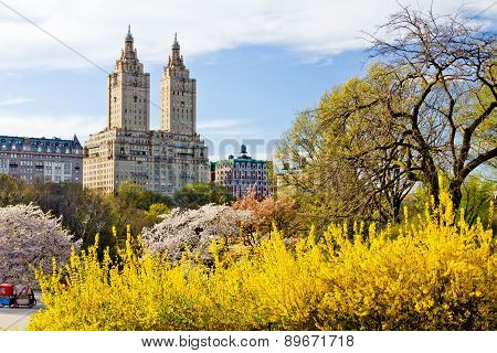 New York City - Central Park Spring Landscape