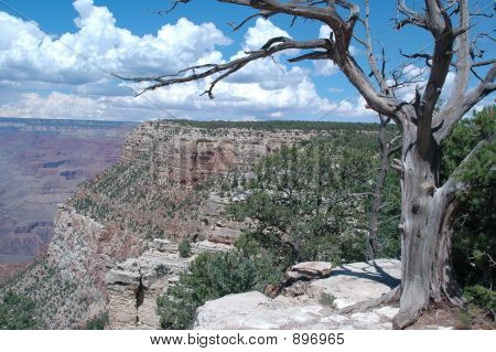 Grand Canyon South Rim