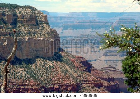 Crand Canyon South Rim foto 3