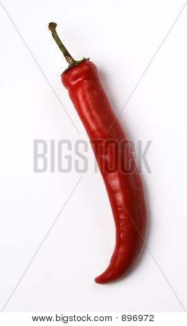 Rød chili peber