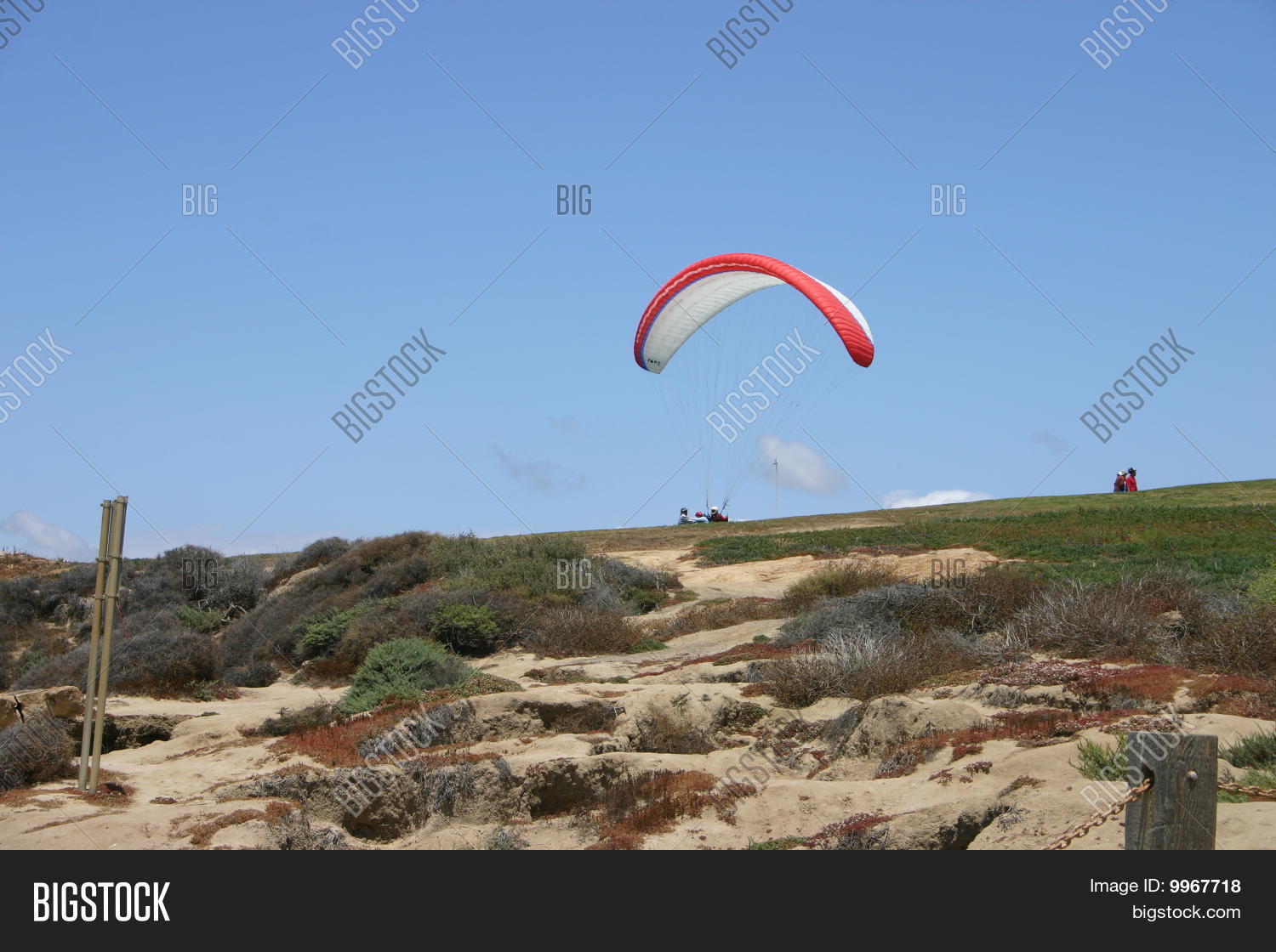 Image Preview