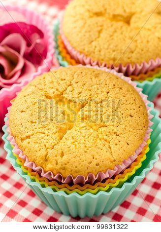 Homemade cupcake , Close up