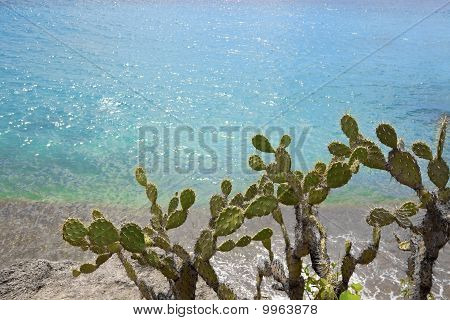 Turkoosi Curacao
