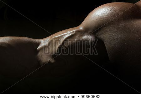 Male Muscle Closeup