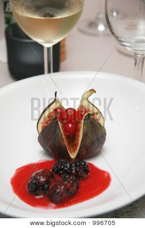 Frukt Starter